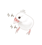 いやされ白文鳥（個別スタンプ：7）