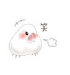 いやされ白文鳥（個別スタンプ：8）