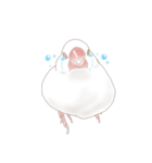 いやされ白文鳥（個別スタンプ：11）