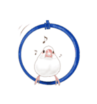 いやされ白文鳥（個別スタンプ：13）