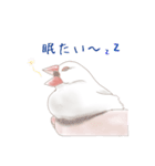 いやされ白文鳥（個別スタンプ：16）