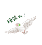 いやされ白文鳥（個別スタンプ：18）