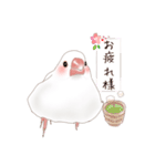 いやされ白文鳥（個別スタンプ：20）