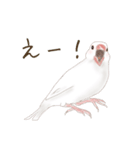 いやされ白文鳥（個別スタンプ：22）