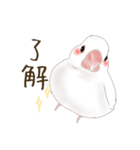いやされ白文鳥（個別スタンプ：24）