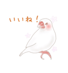 いやされ白文鳥（個別スタンプ：25）