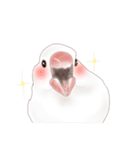 いやされ白文鳥（個別スタンプ：26）