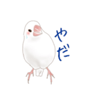いやされ白文鳥（個別スタンプ：28）