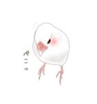 いやされ白文鳥（個別スタンプ：29）