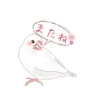 いやされ白文鳥（個別スタンプ：30）