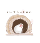 いやされ白文鳥（個別スタンプ：33）