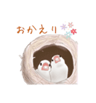 いやされ白文鳥（個別スタンプ：34）