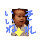 maekawa family（個別スタンプ：6）