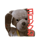 tabatafamily（個別スタンプ：5）