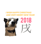変な犬 くぅ 年末年始エディション（個別スタンプ：1）