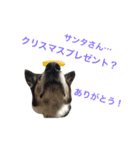 変な犬 くぅ 年末年始エディション（個別スタンプ：9）