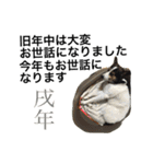 変な犬 くぅ 年末年始エディション（個別スタンプ：36）