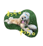 ダイナな毎日③（個別スタンプ：6）