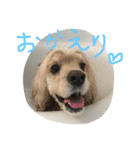 ダイナな毎日③（個別スタンプ：12）