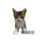 あさださんち（個別スタンプ：12）