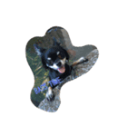 鳥犬猫スタンプ（個別スタンプ：3）