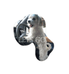鳥犬猫スタンプ（個別スタンプ：4）