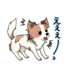 うちらのチワワ♪（個別スタンプ：29）