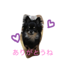 こまちゃんライフ（個別スタンプ：3）