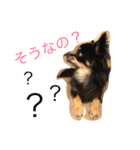 こまちゃんライフ（個別スタンプ：4）