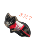 こまちゃんライフ（個別スタンプ：5）