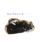 こまちゃんライフ（個別スタンプ：6）