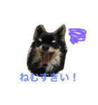 こまちゃんライフ（個別スタンプ：7）