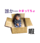 青柳さん2（個別スタンプ：5）