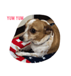 Puppy the Becky（個別スタンプ：2）