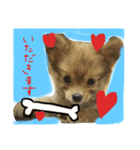 さつまくん（個別スタンプ：1）