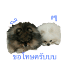 2LittlePomm（個別スタンプ：2）