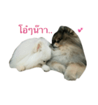 2LittlePomm（個別スタンプ：5）