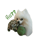 2LittlePomm（個別スタンプ：8）