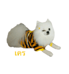 2LittlePomm（個別スタンプ：10）