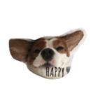 hoppy doggies（個別スタンプ：2）