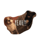 hoppy doggies（個別スタンプ：3）
