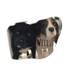 hoppy doggies（個別スタンプ：7）