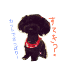 ブラックトイプードルの見えずらい苦悩。（個別スタンプ：5）