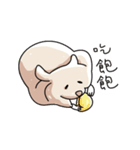 Lazy Mouse daily（個別スタンプ：11）