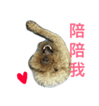 lovely DD（個別スタンプ：3）