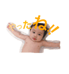 こてっちゃんスタンプだよ（個別スタンプ：2）