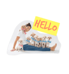 Eight Dogs -2017-（個別スタンプ：1）