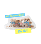 Eight Dogs -2017-（個別スタンプ：8）