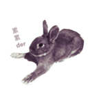 うさぎ春の日常（個別スタンプ：2）