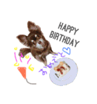 メロディ＆ルイ スタンプ 1（個別スタンプ：2）